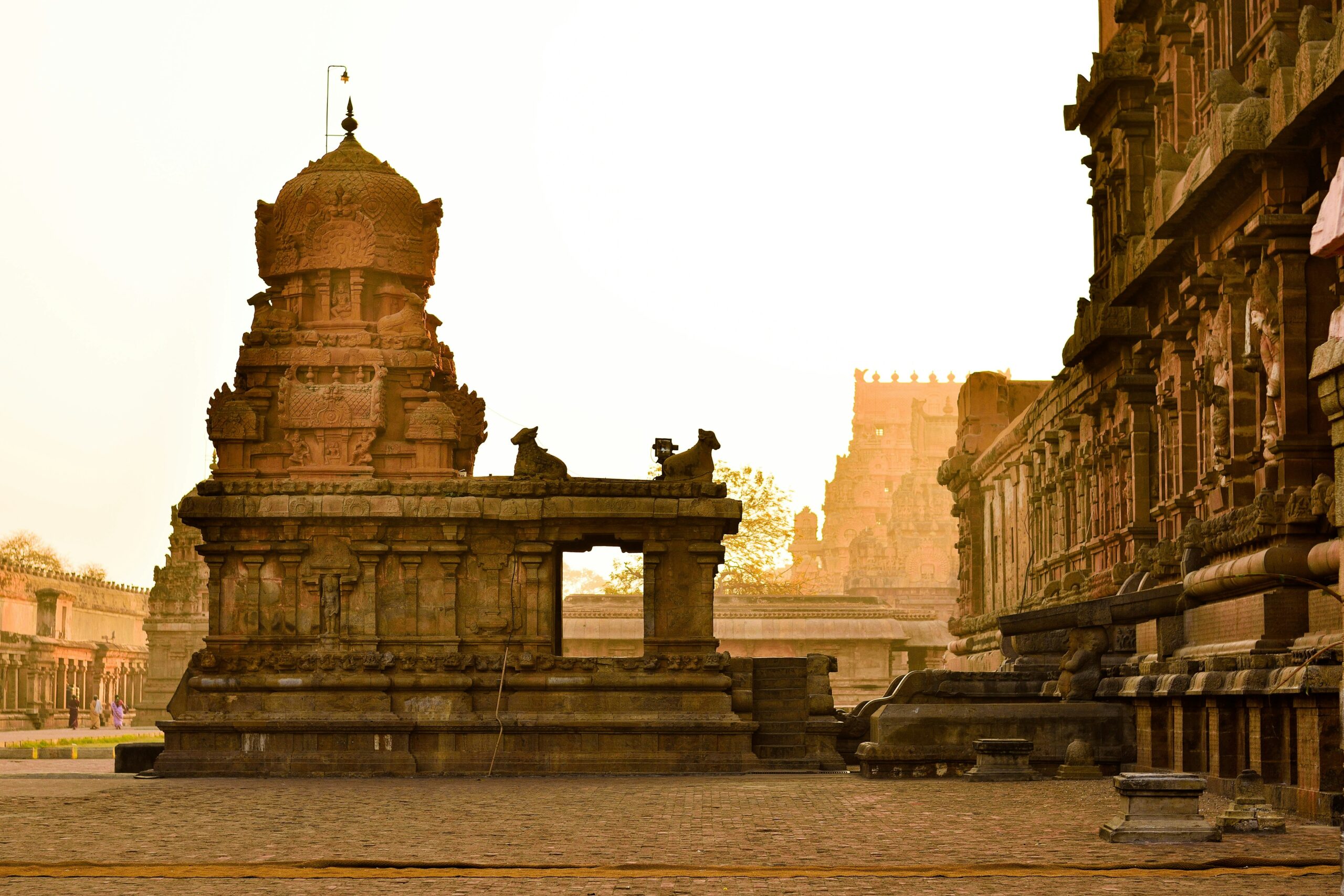 india- (6)